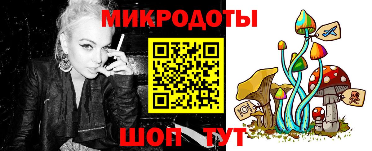 Псилоцибиновые грибы GOLDEN TEACHER  Вход с VPN  Братск  Галлюциногенные грибы Psilocybe 